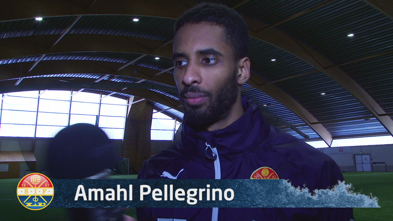 Amahl Pellegrino er på plass